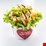 Salată 5 ingrediente fără carne